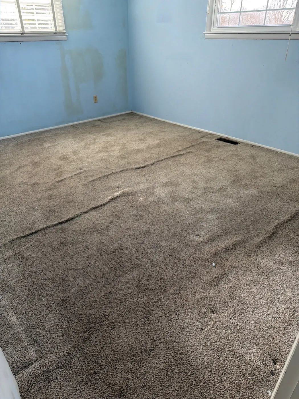 Affected material removal during Long Branch sewage backup remediation