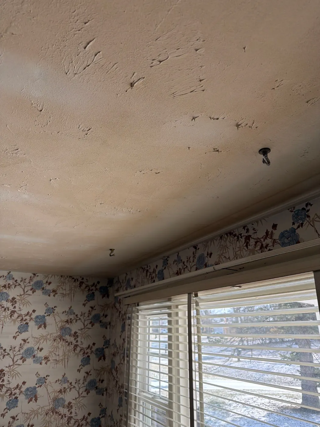 Air movers and dehumidifiers running in Long Branch Indiana home dry-out